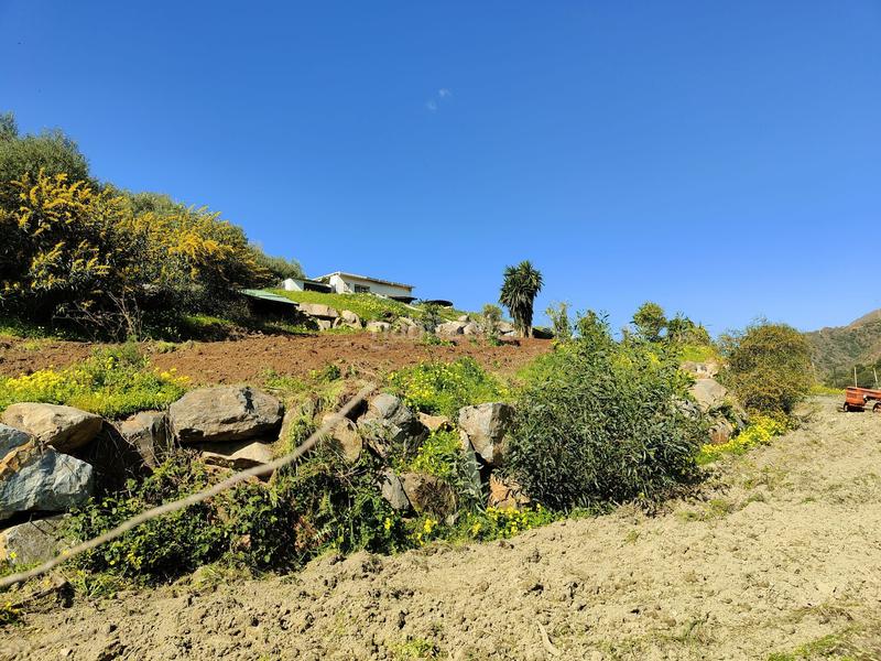 Foto 4034fb1b-1cd5-4b63-b746-97e568e7d308. Rural plot in Parque Central Estepona