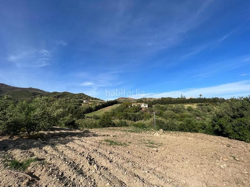 Foto 4f7a0add-81cb-43bc-a388-c7ea6f5a3102. Rural plot in Parque Central Estepona
