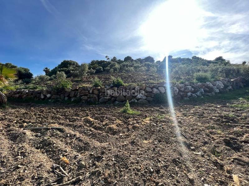 Foto 6732ef54-0ca4-4c20-a5af-4a5c4ebcac79. Rural plot in Parque Central Estepona