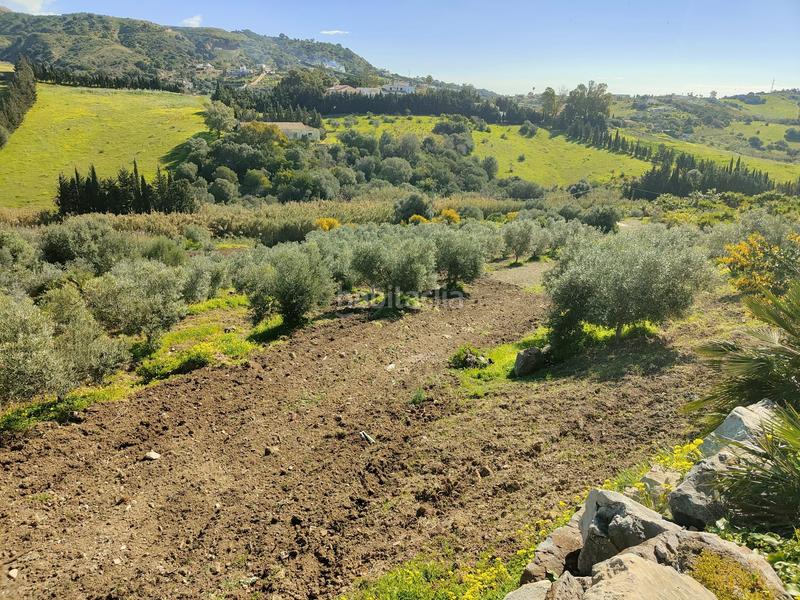 Foto 8f6a04b1-46d5-4442-b21b-f6ec677de029. Rural plot in Parque Central Estepona