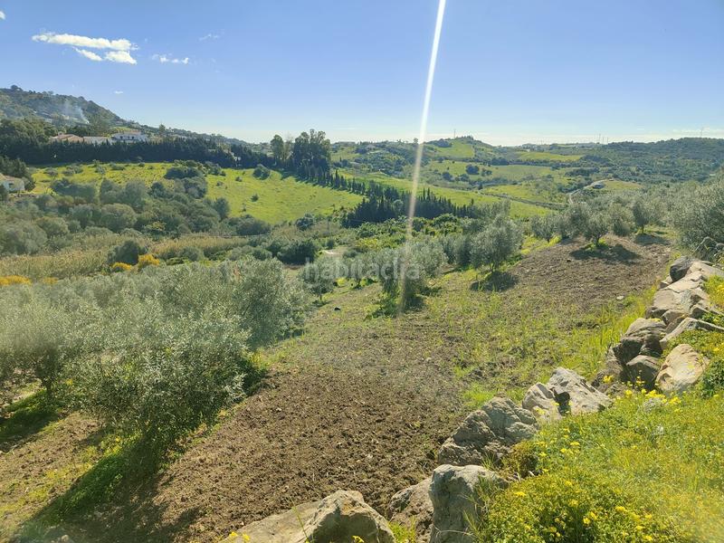 Foto e96229b4-06db-4c5f-9c16-edfa83e77819. Rural plot in Parque Central Estepona
