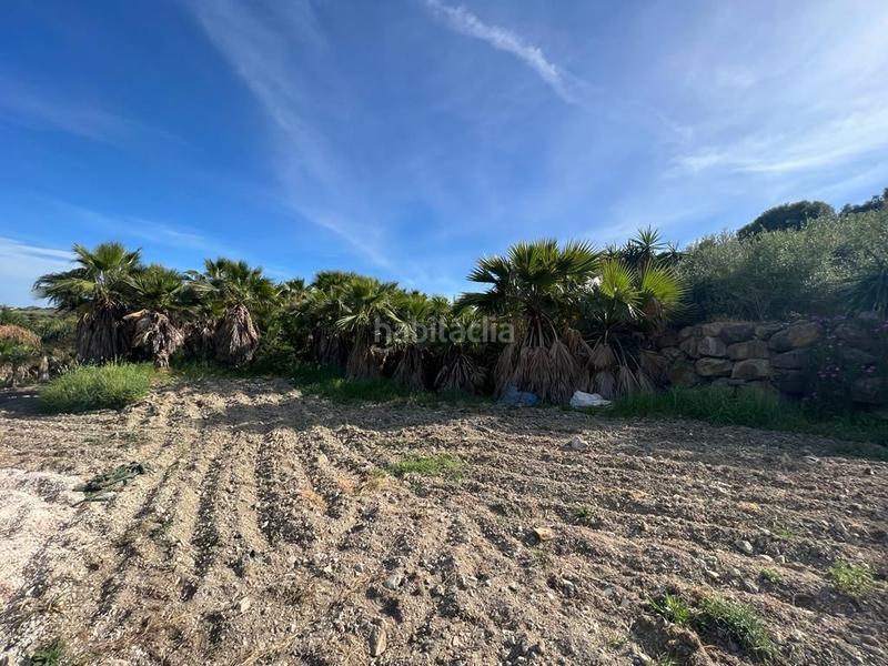 Foto f35245c0-6c7d-4825-a090-774df7c6f32f. Rural plot in Parque Central Estepona