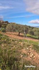 Finca rústica a Centro. Parcela rústica en alhaurín el grande
