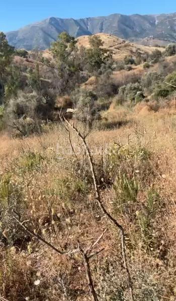 Foto 678a488d-2a3b-4117-86b4-31f8a3caafdd. Finca rústica a Valtocado - La Alquería - La Atalaya Mijas