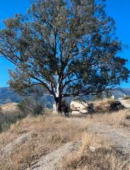 Fondo rustico  Camino de valtocado. Parcela en valtocado, mijas (málaga)