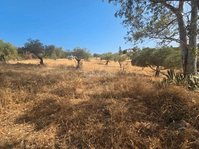 Foto 387fa49a-3b49-4a34-9ae6-7734b5a9e590. Propriété dans Coín