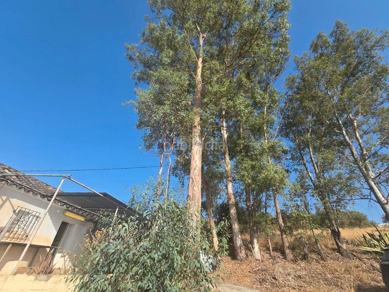 Foto 8399f1fc-1d98-44f7-8d40-faf859fc75eb. Propriété dans Coín