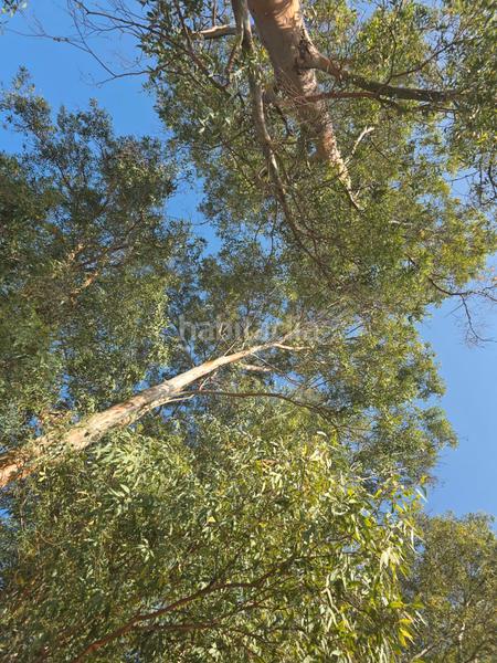 Foto 931f3ff1-7484-4bf8-98f2-9a244e7a164c. Propriété dans Coín