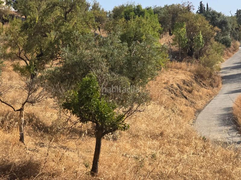 Foto 94a0d25b-8411-4e88-8253-5d4c809e1f55. Propriété dans Coín