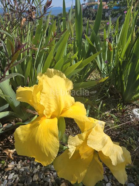 Foto c3e9b116-0854-4f1e-b4c4-8a134034c9c0. Propriété dans Centro Alhaurín el Grande