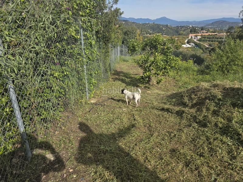 Foto c447bd21-cf31-4e7d-9276-499a2183896b. Propriété dans Centro Alhaurín el Grande