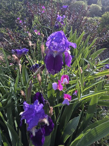 Foto e0adec64-3fe7-45a1-8fea-ee634c10ca6d. Propriété dans Centro Alhaurín el Grande