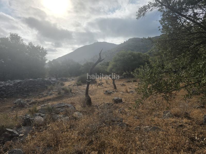 Foto 0edff9ac-0736-44e6-9b6e-83264dc52df6. Finca rústica a Jardines de Alhaurín-Huerta Alta-Fuensanguínea Alhaurín de la Torre