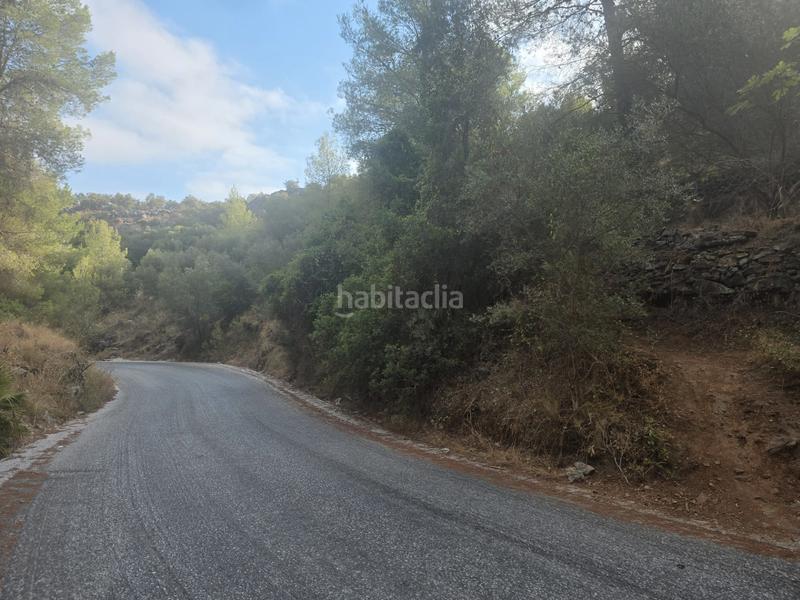Foto 1388d02d-3dc2-4c78-b2e4-0184293c6752. Finca rústica a Jardines de Alhaurín-Huerta Alta-Fuensanguínea Alhaurín de la Torre