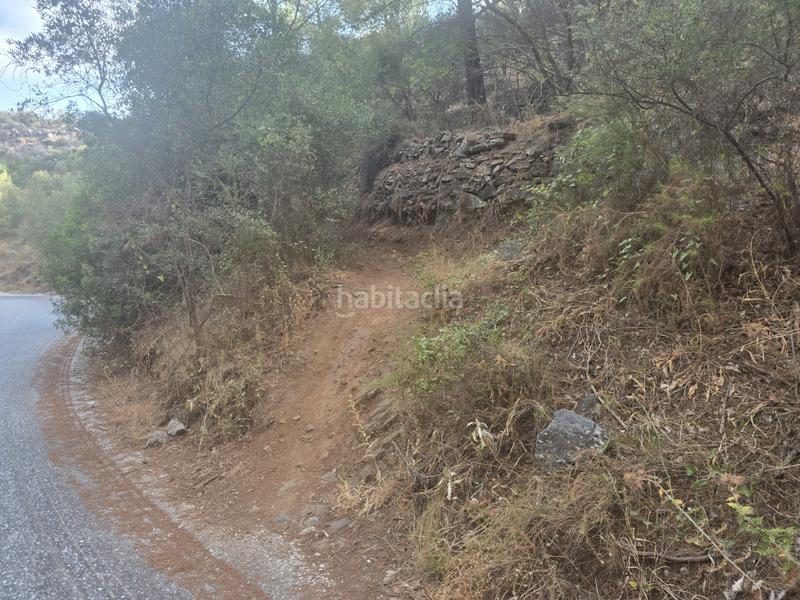 Foto 202e0ecb-1f7c-4489-87a4-349a416f40d6. Finca rústica a Jardines de Alhaurín-Huerta Alta-Fuensanguínea Alhaurín de la Torre