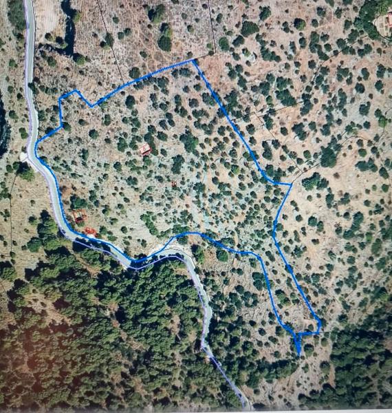 Foto 6e3514bd-b832-43bc-89d8-0c4c5c33db3f. Finca rústica a Jardines de Alhaurín-Huerta Alta-Fuensanguínea Alhaurín de la Torre