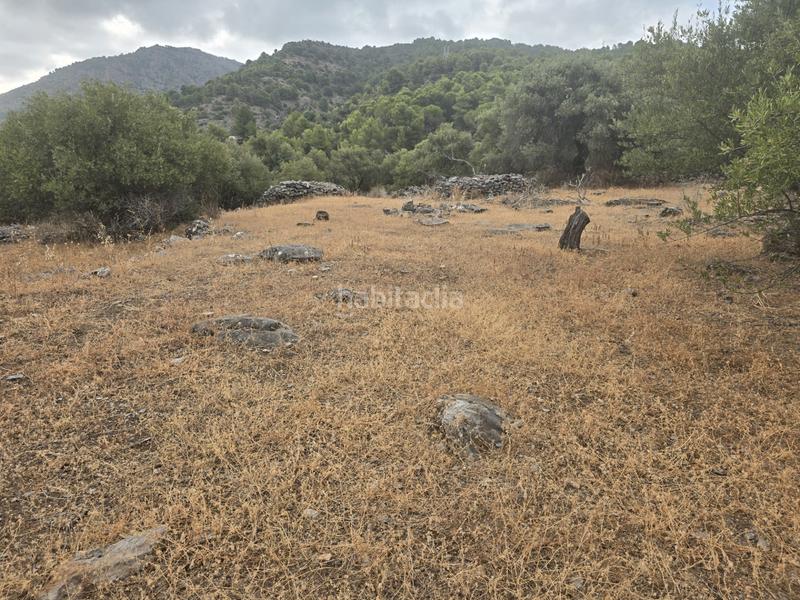 Foto 7c28c4d1-403f-4da9-be41-e6597f301c2d. Finca rústica a Jardines de Alhaurín-Huerta Alta-Fuensanguínea Alhaurín de la Torre