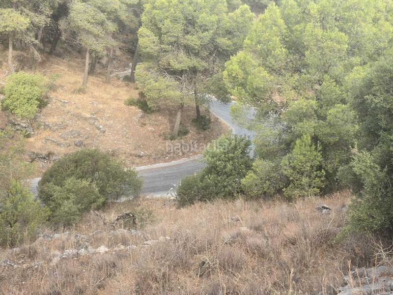 Foto 7c494175-64f2-40af-a490-2b3af9aa0713. Finca rústica a Jardines de Alhaurín-Huerta Alta-Fuensanguínea Alhaurín de la Torre