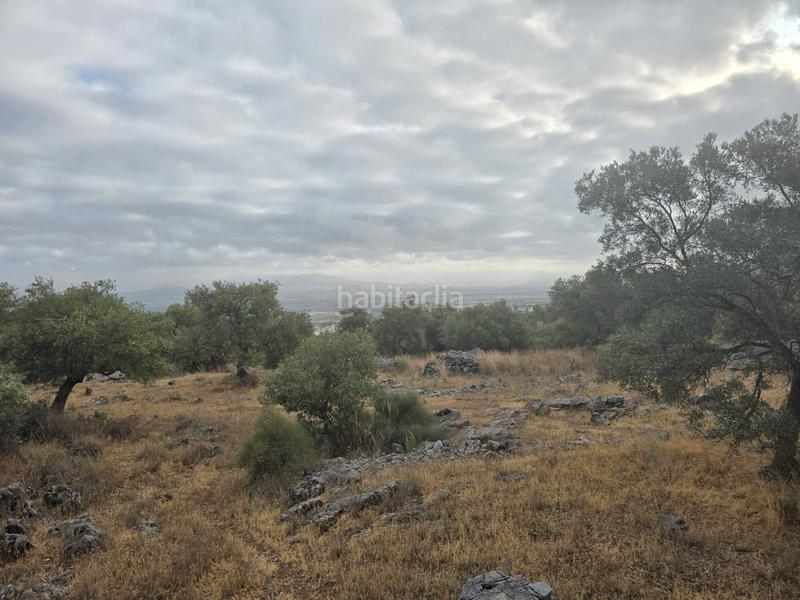 Foto f6c7cae1-d70f-4c61-9bde-7d7ce0b99fd2. Finca rústica a Jardines de Alhaurín-Huerta Alta-Fuensanguínea Alhaurín de la Torre