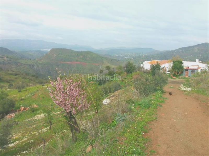 Foto a31a7d5a-49de-4bb8-8028-8c335b82a857. Fondo rustico in Almogía