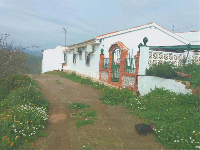 Foto b5da2df5-3cd6-443b-823c-baec8b1cede9. Fondo rustico in Almogía