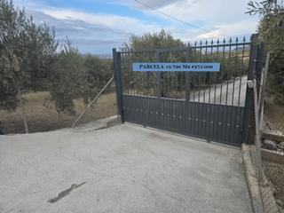 Fondo rustico in Cártama. Parcela rústica en alhaurín el grande – zona el cigarral / borra