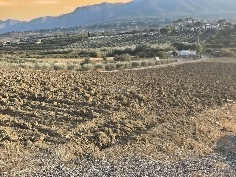 Foto 3707e89a-5a27-46ec-8535-e1258a7c28df. Finca rústica a Centro Alhaurín el Grande