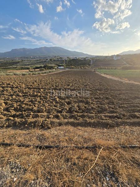 Foto 6fc4da4b-08e4-4949-b5af-c39eaf5a1229. Finca rústica a Centro Alhaurín el Grande