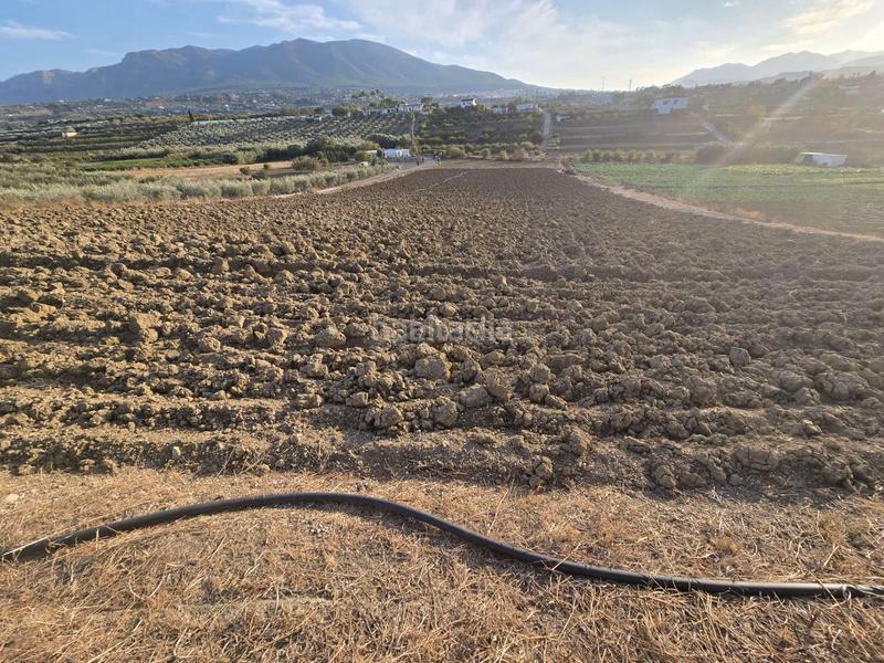 Foto 8066b1d2-7542-42ca-a5e5-2d568bfe9e4e. Finca rústica a Centro Alhaurín el Grande