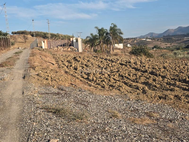 Foto ce715d16-4ee5-434d-b658-646d0592ad24. Finca rústica a Centro Alhaurín el Grande