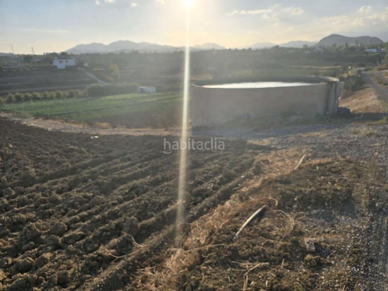 Foto f4e47f24-cc67-4819-9351-935f33fe3399. Finca rústica a Centro Alhaurín el Grande