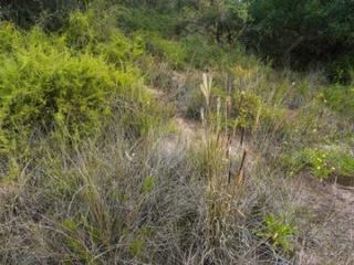 Finca rústica a Centro
