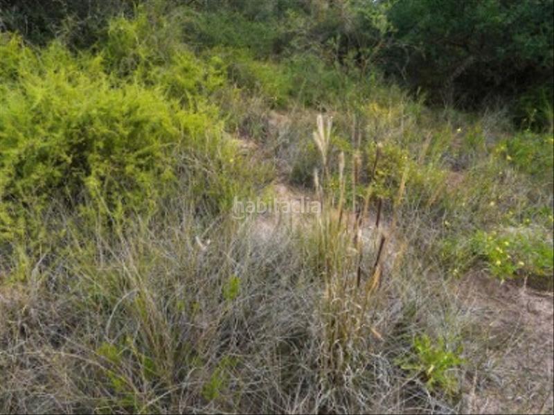 Foto 7125508c-6dee-469a-bd44-650a3d7ab117. Fondo rustico in Centro Alhaurín el Grande