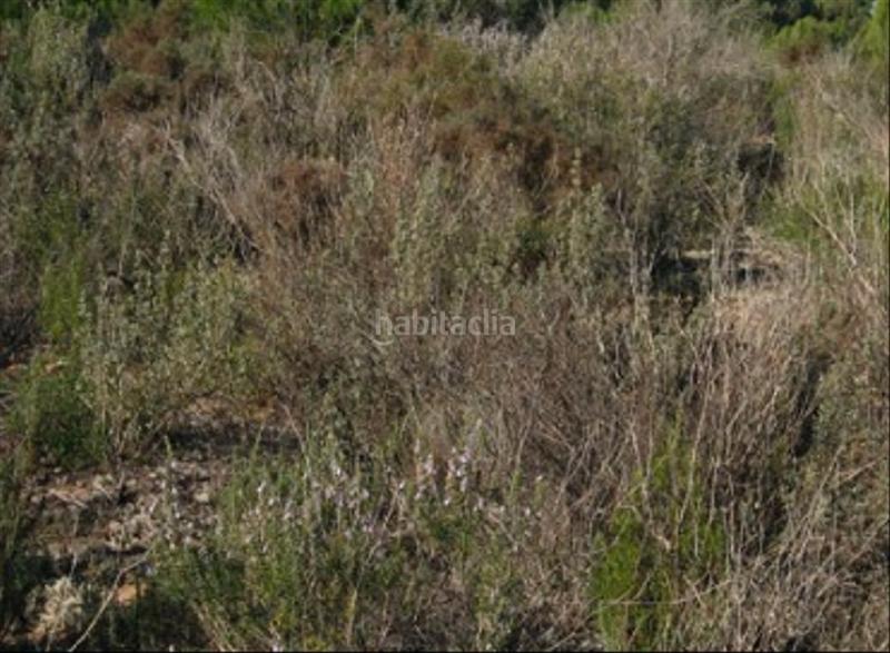 Foto 86556185-2baf-4a36-9e0b-ce92026cb5e3. Fondo rustico in Centro Alhaurín el Grande