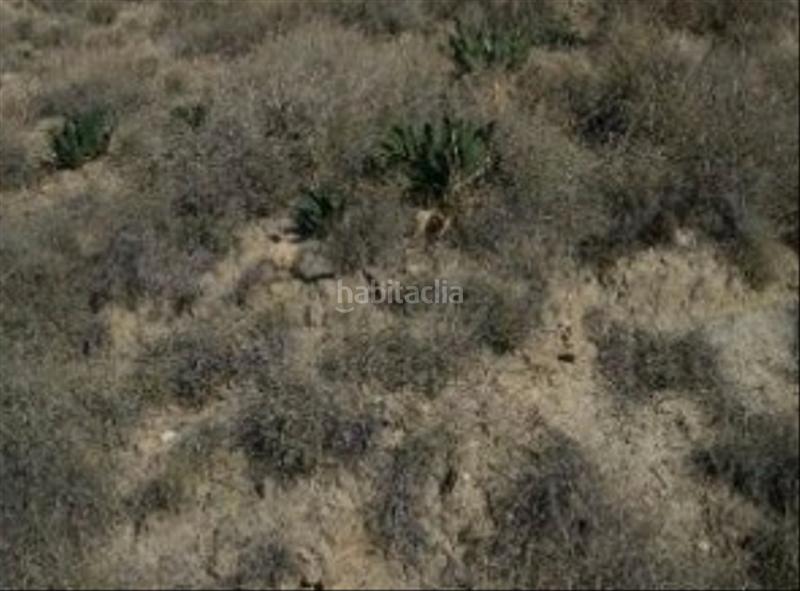 Foto df6c1b0e-5ef1-47ef-9043-06f060bfa75c. Fondo rustico in Centro Alhaurín el Grande