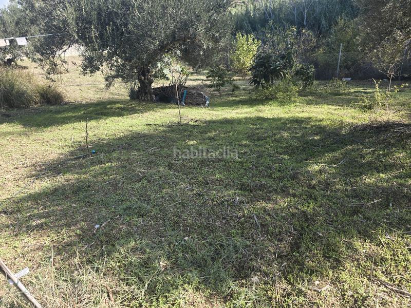 Foto 111a067c-196e-42be-86d3-adb92cbb5ca7. Landgut in Centro Alhaurín el Grande