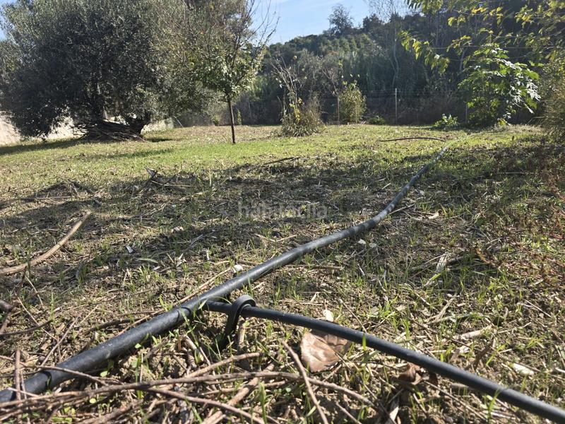 Foto c03561ae-093b-460f-8966-7631fb3570b7. Landgut in Centro Alhaurín el Grande