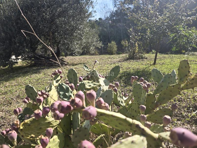 Foto edfaf94b-48f4-47ef-8681-62b4f5c7241e. Landgut in Centro Alhaurín el Grande