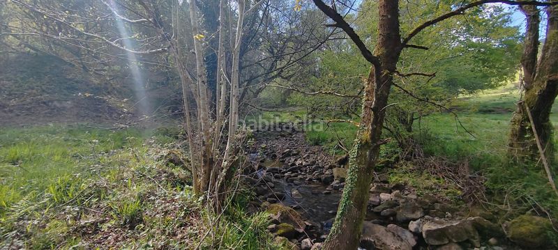 Foto 7526e00c-b63f-417a-a97d-0805343516a5. Casale in Penagos