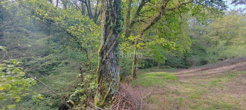 Foto d57083a2-2d3c-4c70-a51a-00e35a8756a6. Casale in Penagos