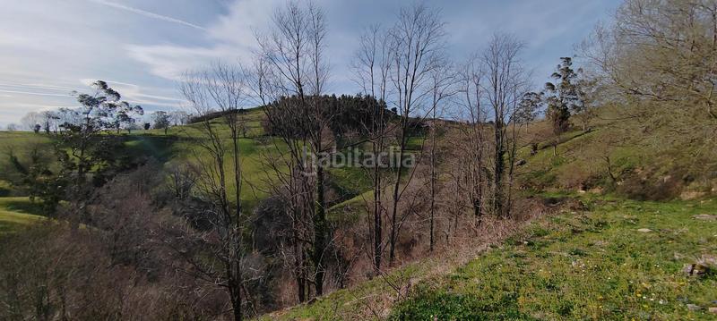 Foto 658b31fd-09e9-459f-8c4e-fefa2109c87e. Nau industrial a barrio real sitio 38 a Riotuerto