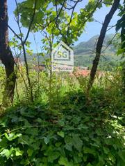 Terreno residencial en A Carballeira