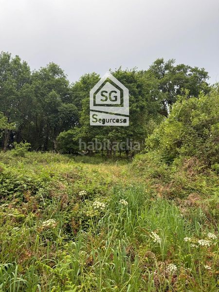 Foto 762e98fc-0ad1-4b0b-bffe-9c6928b03fcc. Casa adossada a Amoeiro