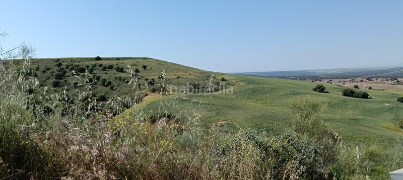 Foto f580ddf1-f989-427b-b4d1-de876d1e1b97. Terrain résidentiel dans Maello