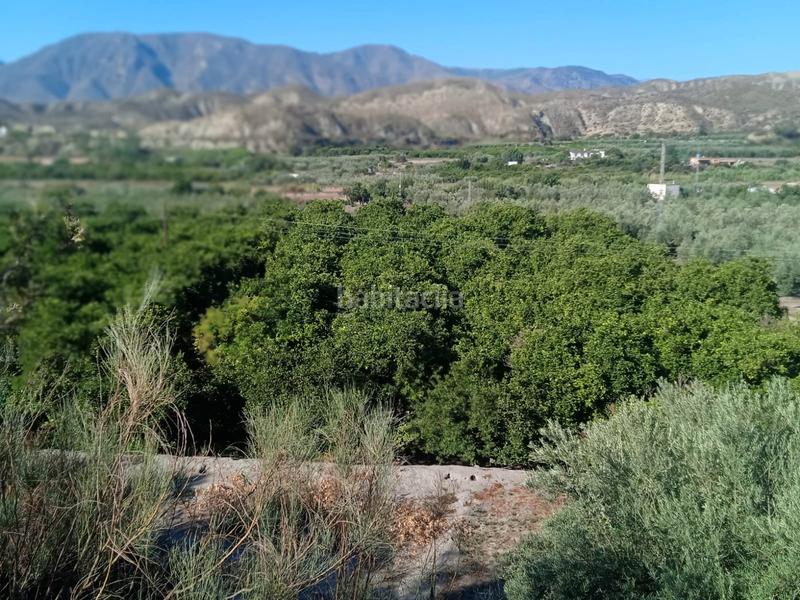 Foto a9583efe-c026-487d-8d13-a69cf1c95465. Fondo rustico in Santa Cruz de Marchena