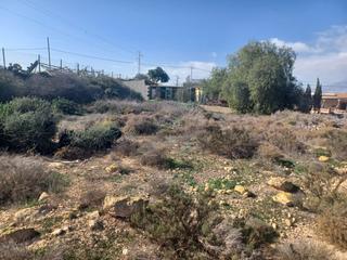 Residential Plot in Las Norias. Solar en venta en las norias de daza