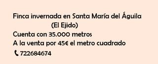 Rural plot in Santa María del Águila. Finca invernada a la venta en santa maría del águila