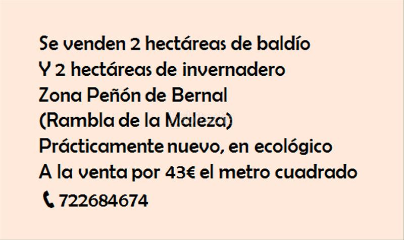 Foto cbb58f41-7131-4e63-87b8-372708d313dd. Finca rústica a Vícar pueblo Vícar