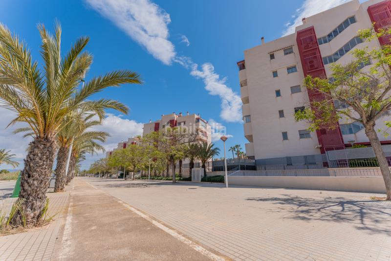 Foto 0bd58177-698f-4032-9abb-b15db942bbee. Piccolo appartamento con riscaldamento parcheggio piscina in Elche / Elx