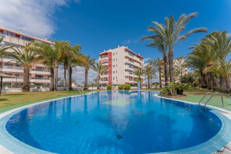 Foto 1347ef87-ea1e-42c5-95ef-a259d9e3e25b. Piccolo appartamento con riscaldamento parcheggio piscina in Elche / Elx